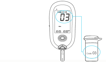 Insert a test strip to turn on the meter. The sequence of LCD displays is: “CHK” and “” →flashing “” with date and time